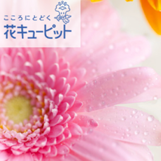 花キューピット