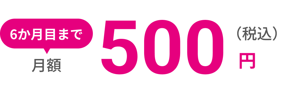 6か月目まで月額500円（税込）