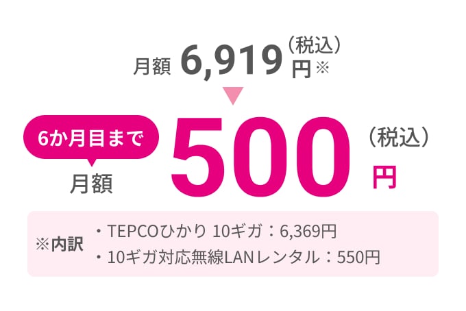 6か月目まで月額500円（税込）